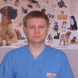 Ветеринарный врач Евгений Королев